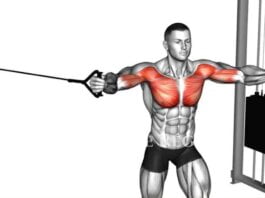 Cable Exercises for Chest