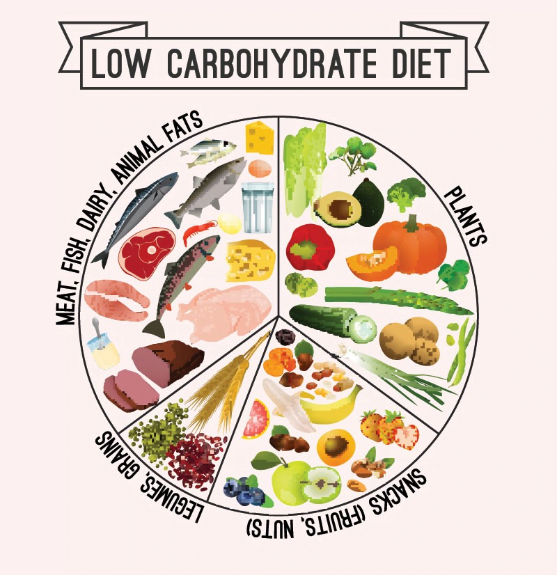 Understanding Low Carb Diets